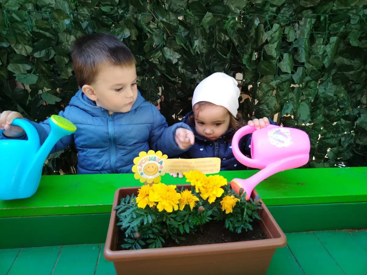 Професионално избелване — след
